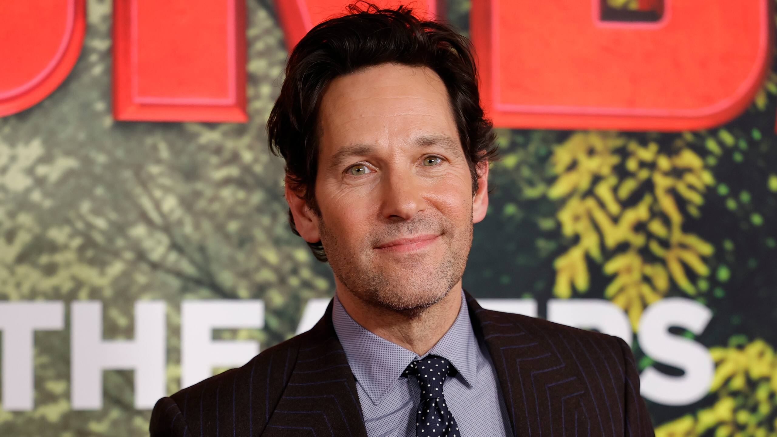 Joban Paul Rudd Paul Rudd a menti sur son CV | QUB | QUB info