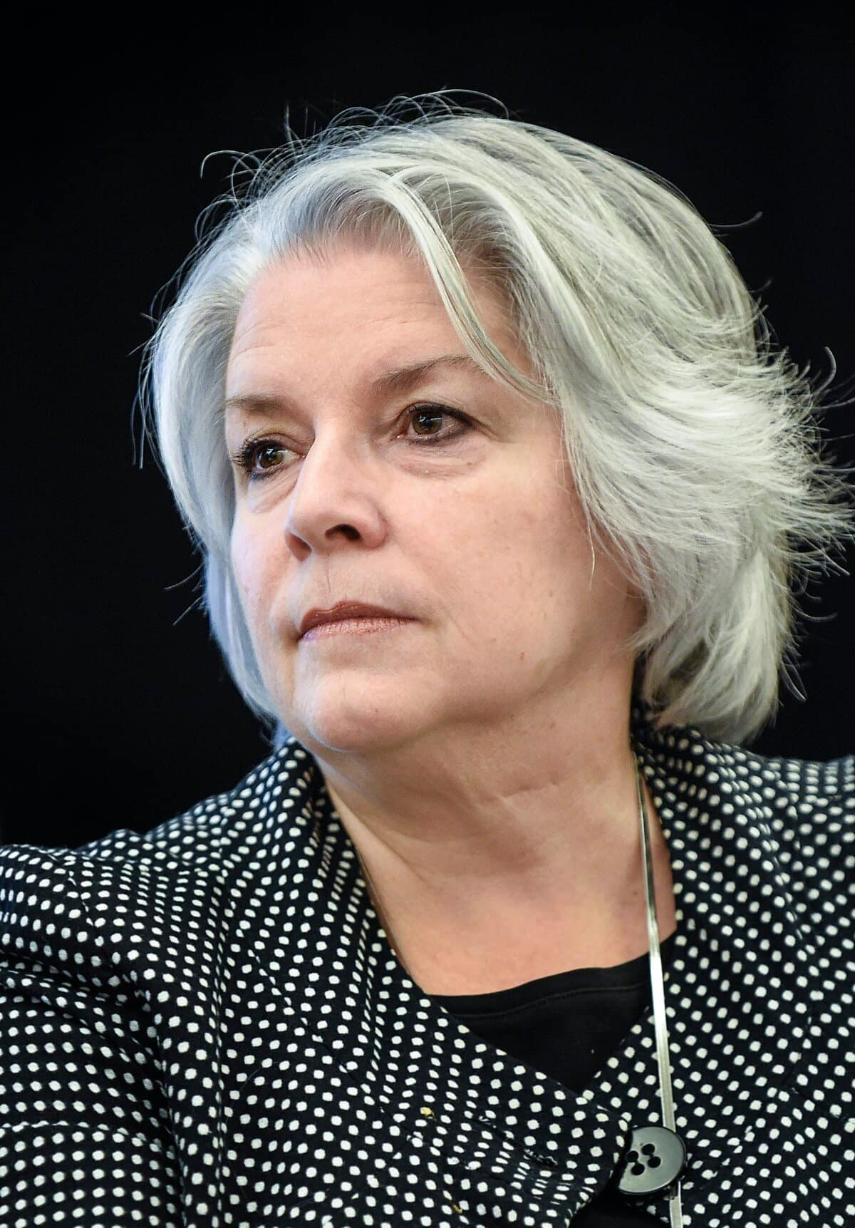 Un nouveau parti municipal se forme à SaintAugustindeDesmaures JDQ