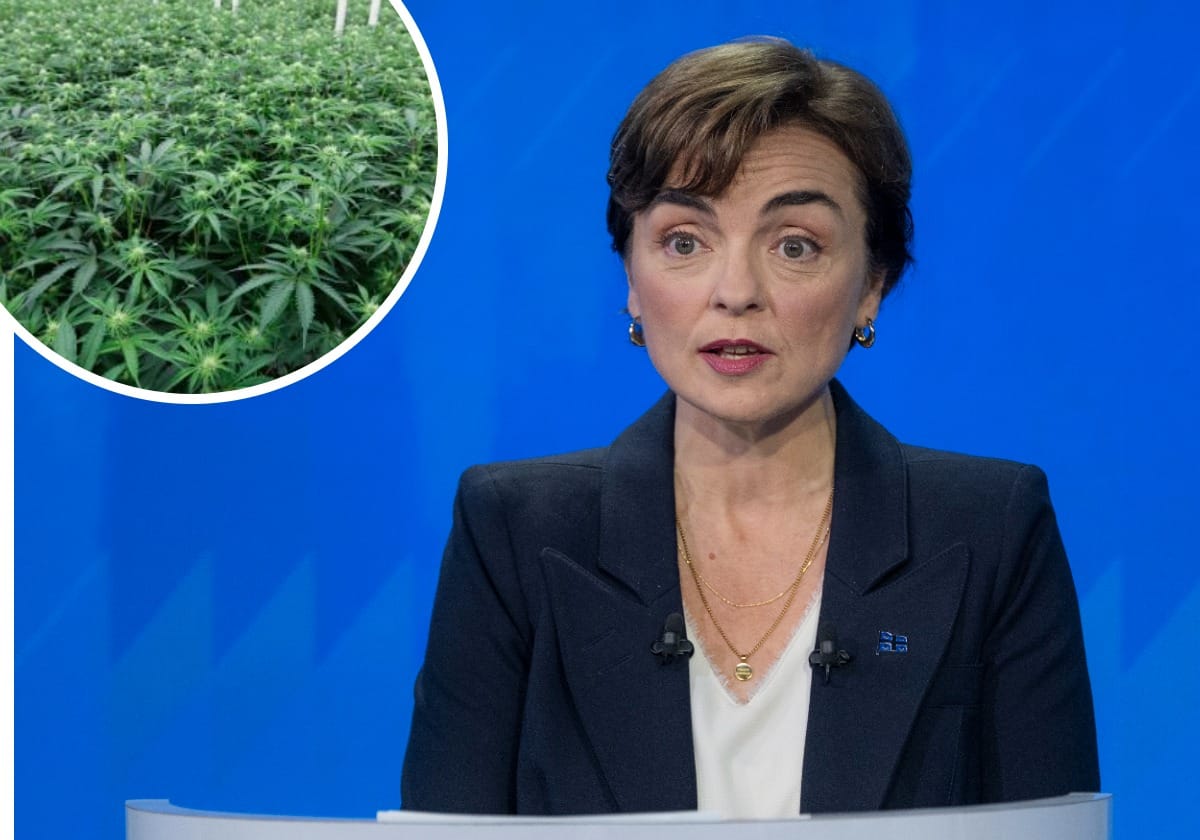 Des propos «méprisants»: l’industrie du chanvre et du cannabis réclame des excuses de Christine Fréchette