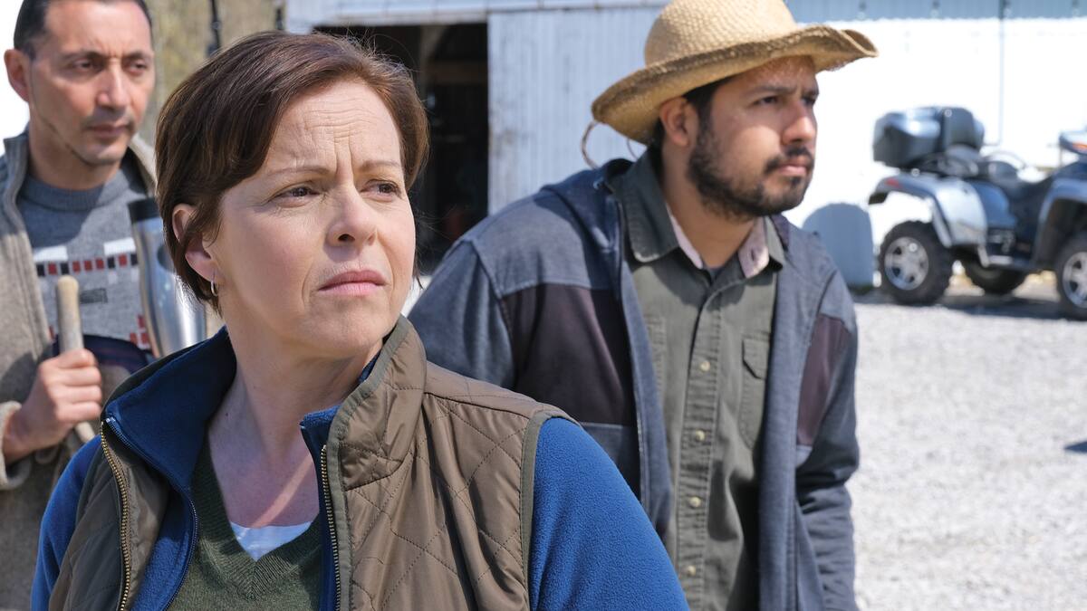 5e rang | Criminels en liberté | 7 Jours