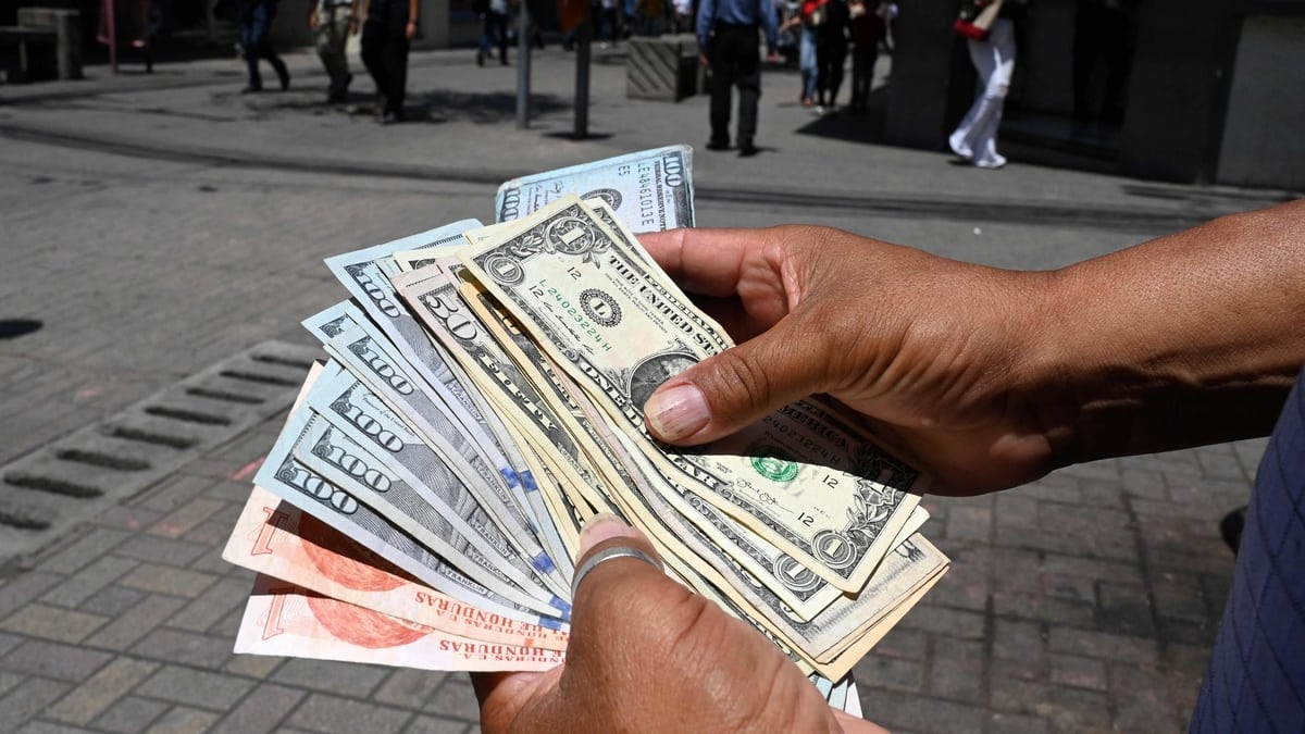 «C’était irréel»: un couple new-yorkais dit avoir découvert 100 000 dollars au fond d'un étang