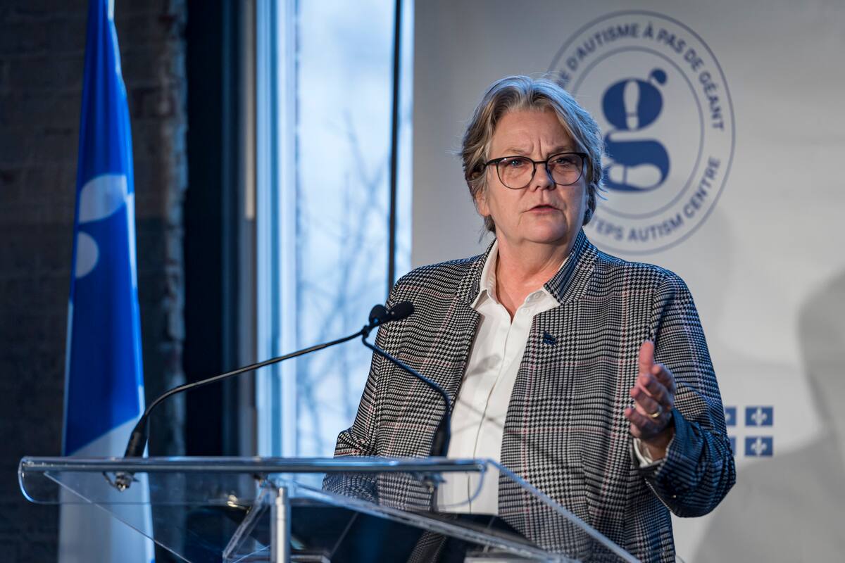 Des organismes recevront 5 M$ pour int&eacute;grer en fran&ccedil;ais des immigrants