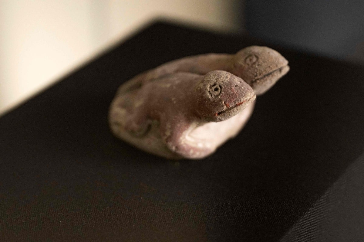 Grenouille Du Mois D'août - Toile à Aiguilles (Single Pattern) - Occasion