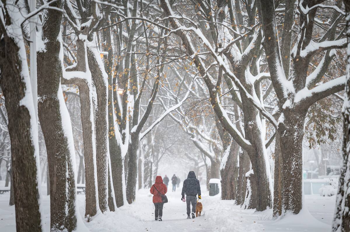 Encore de la neige: une temp&ecirc;te frappera le Qu&eacute;bec cette semaine