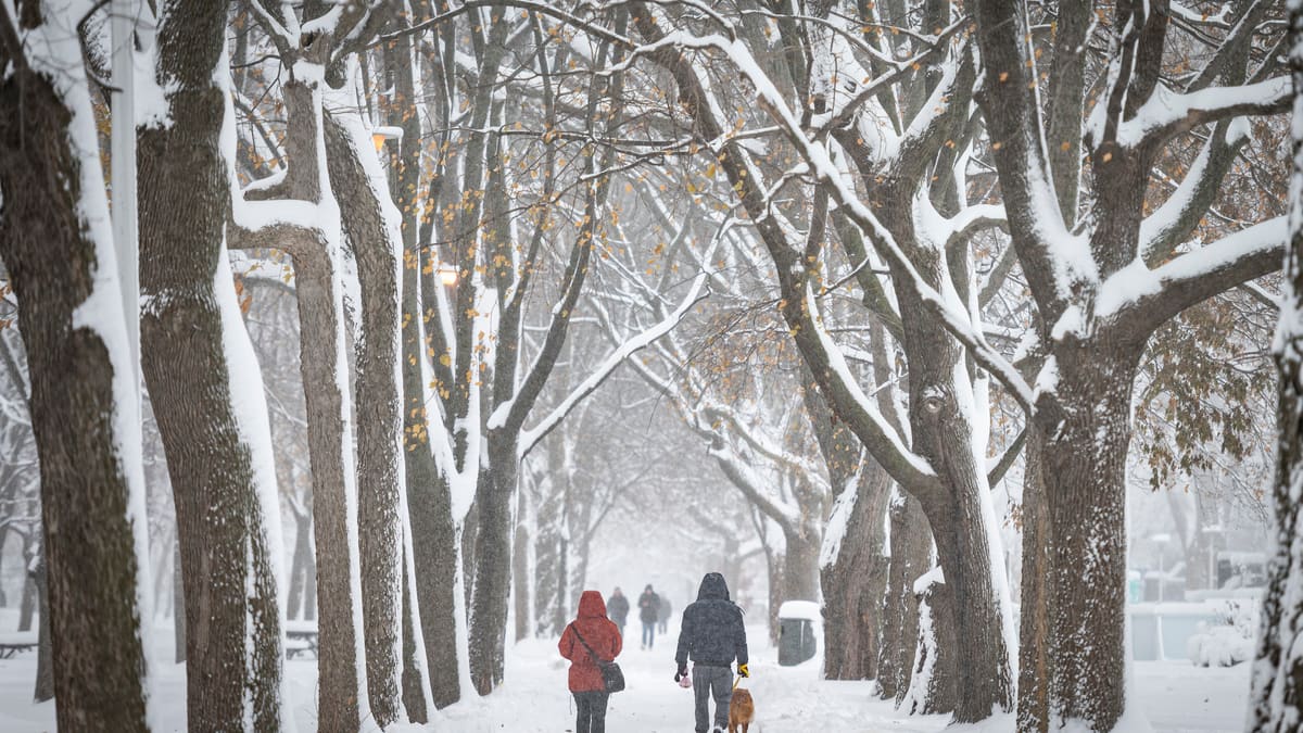Encore de la neige: une tempête frappera le Québec cette semaine
