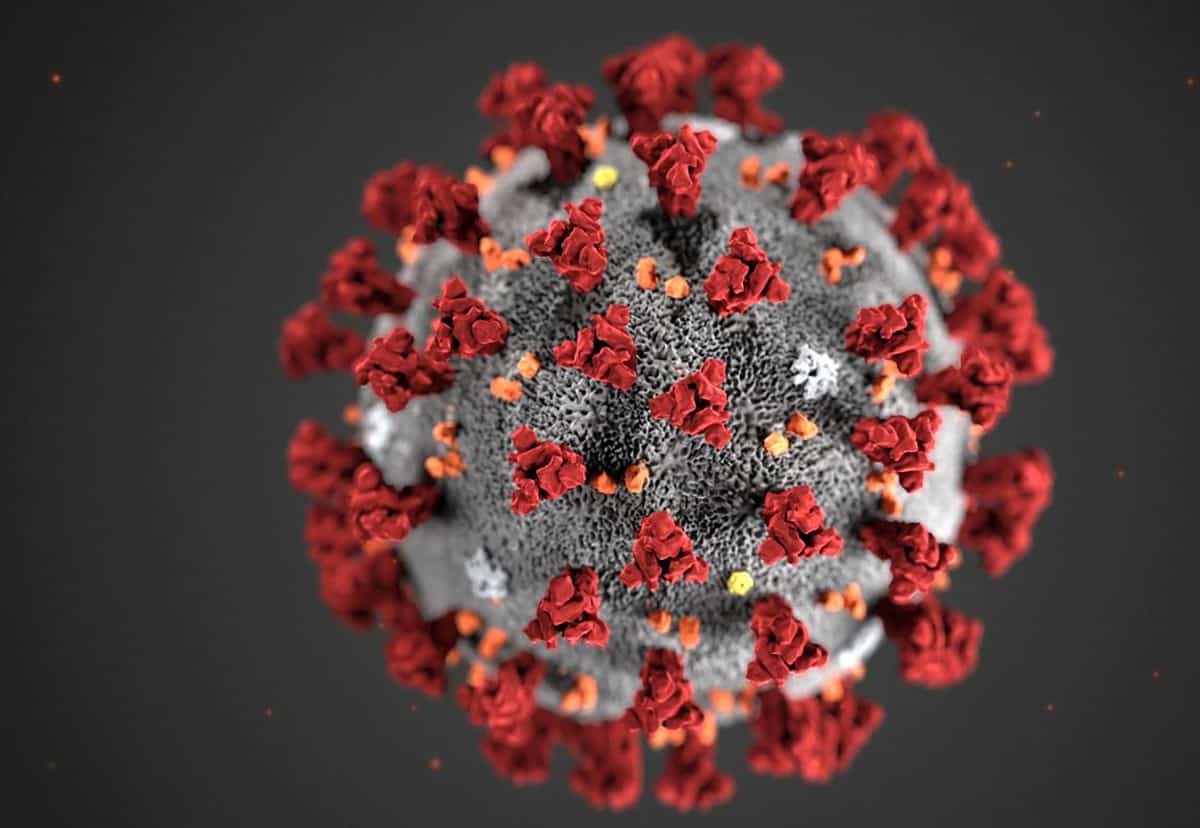 Ebola: des mesures frontalières spéciales en vigueur au Canada