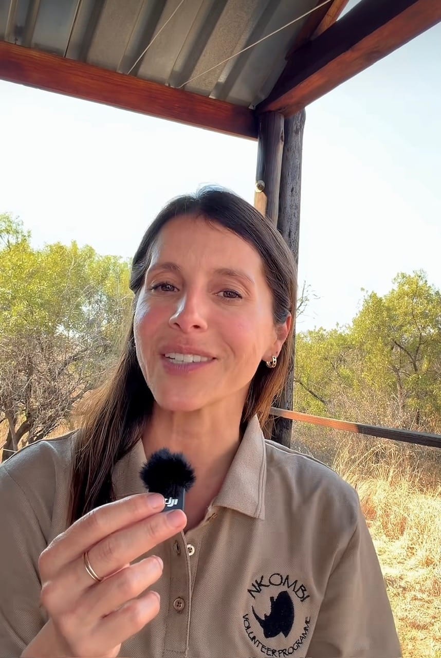 Anaïs Favron: un incroyable voyage de deux mois en Afrique du Sud pour la sauvegarde des rhinocéros