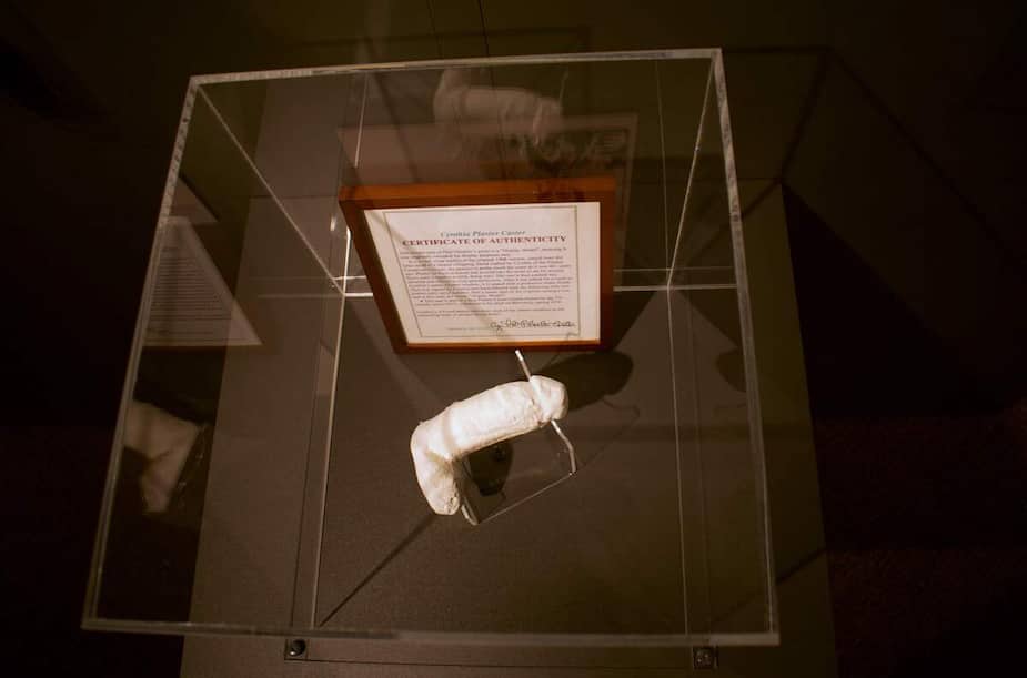 Image principale de l'article Un moulage du pénis de Jimi Hendrix exposé