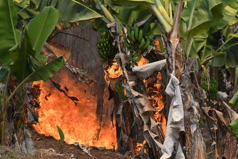 In mid-April, wildfires spread south of the Honduran capital.
