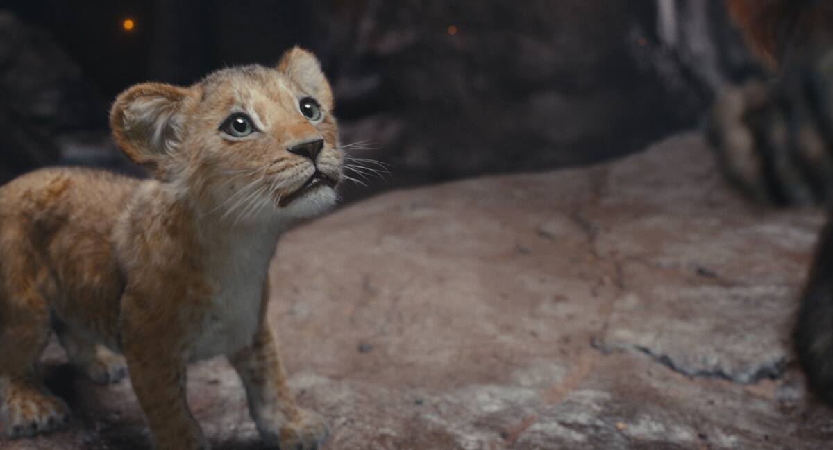 Critique du film «Mufasa le roi lion» un sans faute! TVA Nouvelles