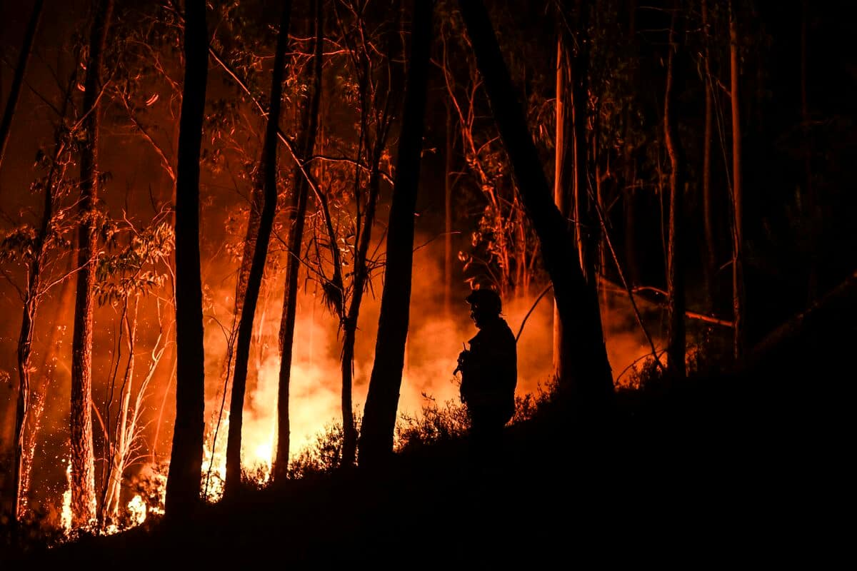 EN IMAGES | Le Portugal en proie &agrave; la canicule et aux feux de for&ecirc;t