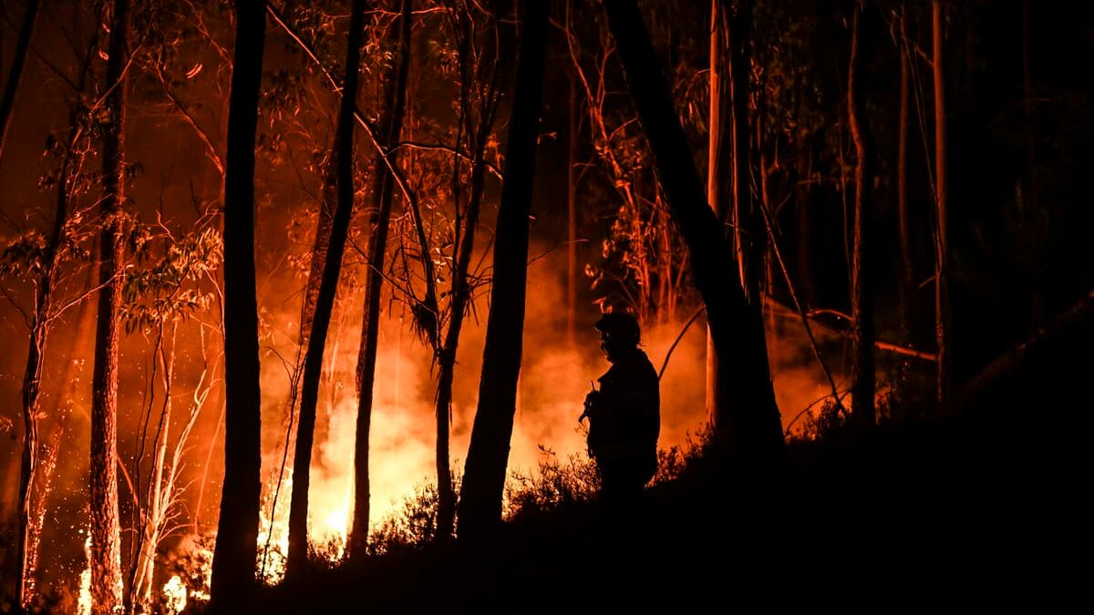 EN IMAGES | Le Portugal en proie à la canicule et aux feux de forêt