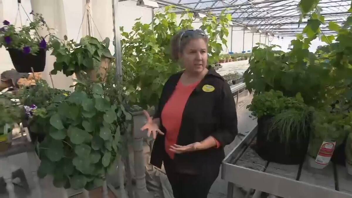 La «course aux potagers» est lancée