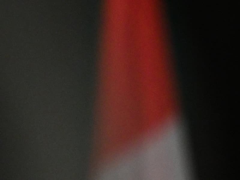 Les libéraux grimpent à 47 % dappuis après le discours de Carney à Davos , selon un sondage