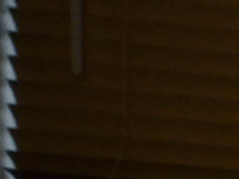 Italie 2026 : Laurent Dubreuil , le papa lévisien qui chauffe les jeunes monstres du patin