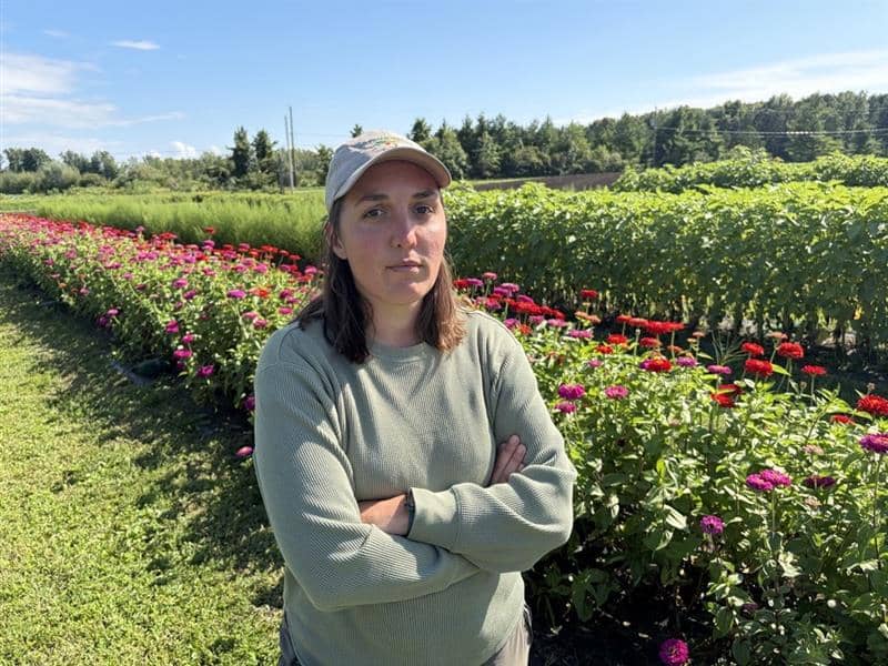 Même les fleurs sont victimes des tarifs de Trump