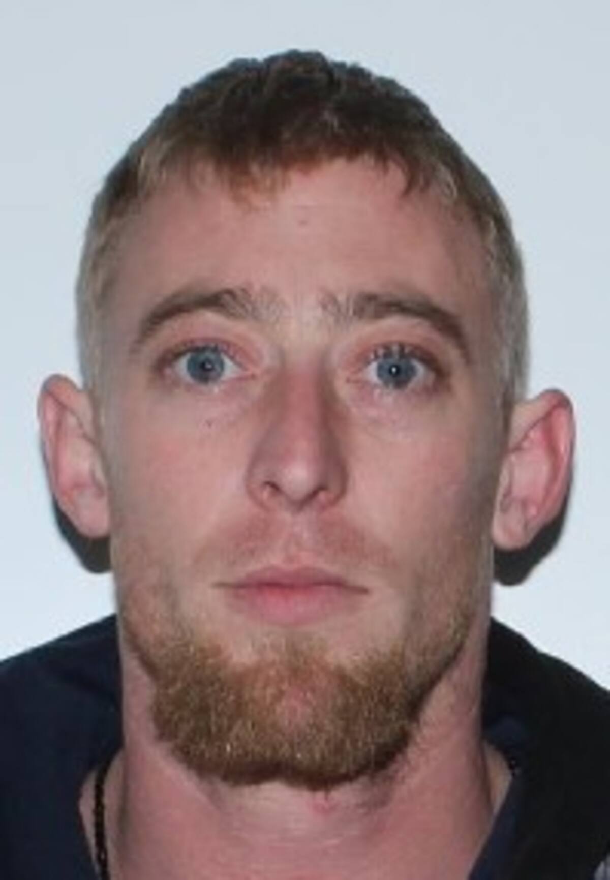 Un homme de 31 ans de Malartic est recherché pour meurtre | TVA Nouvelles