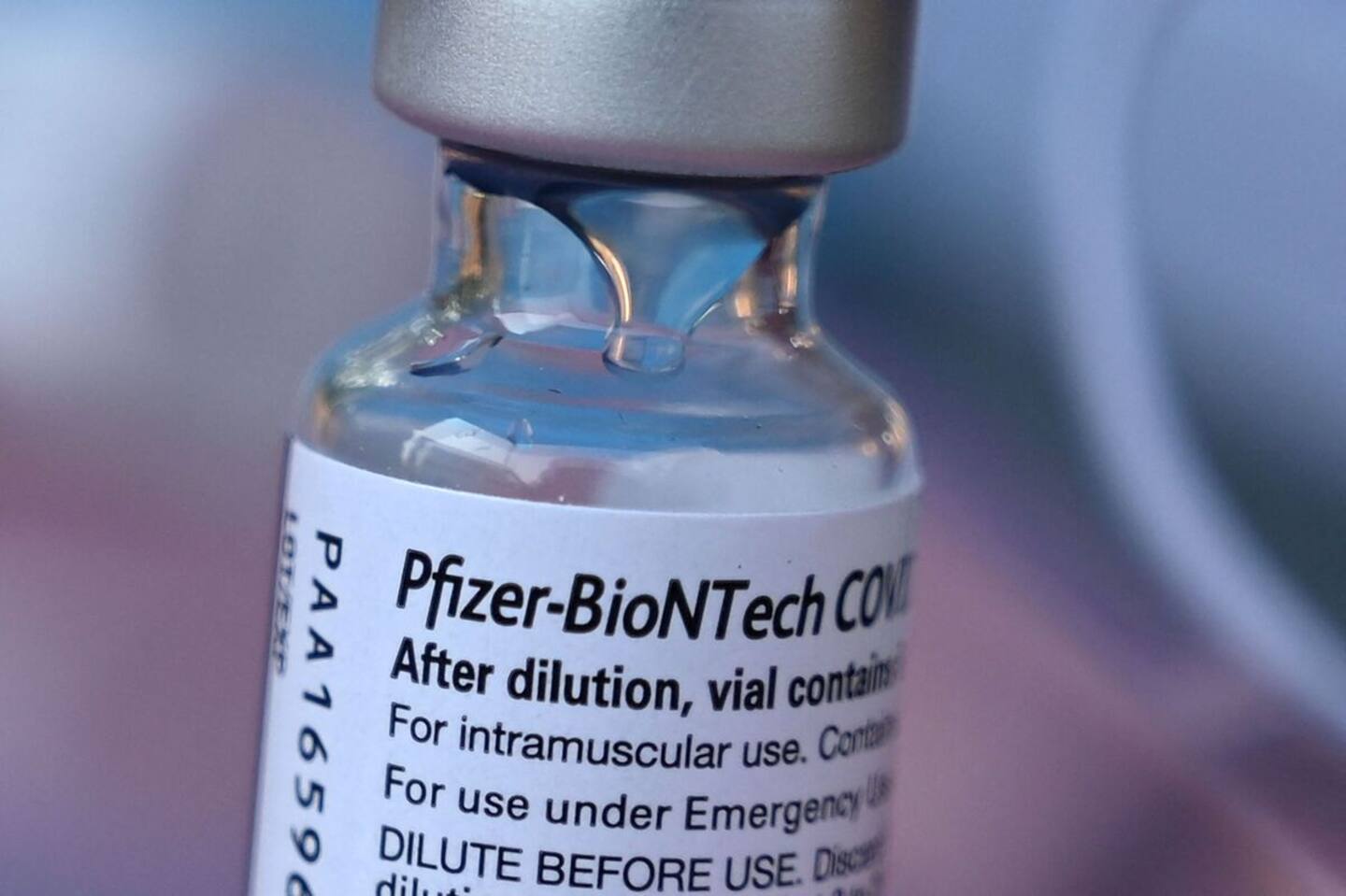COVID-19: le régulateur européen autorise un vaccin Pfizer contre des sous-variants d’Omicron COVID-19: le régulateur européen autorise un vaccin Pfizer contre des sous-variants d’Omicron