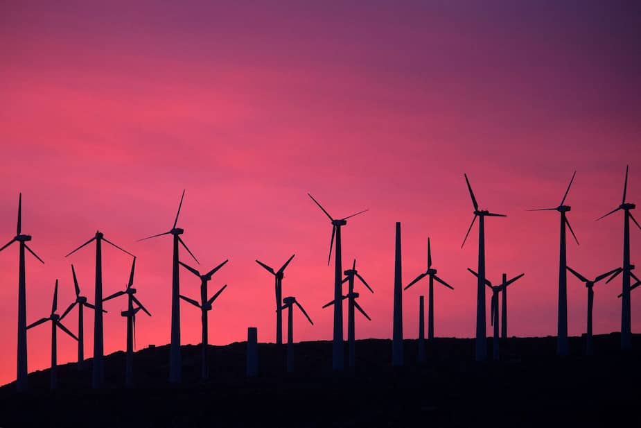 Image principale de l'article Les énergies vertes prospèrent sur la planète