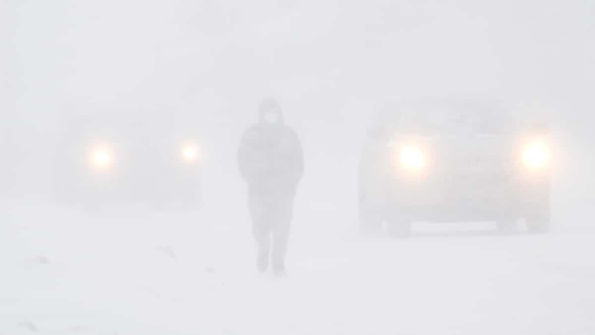Jusqu'à 20 centimètres de neige attendus