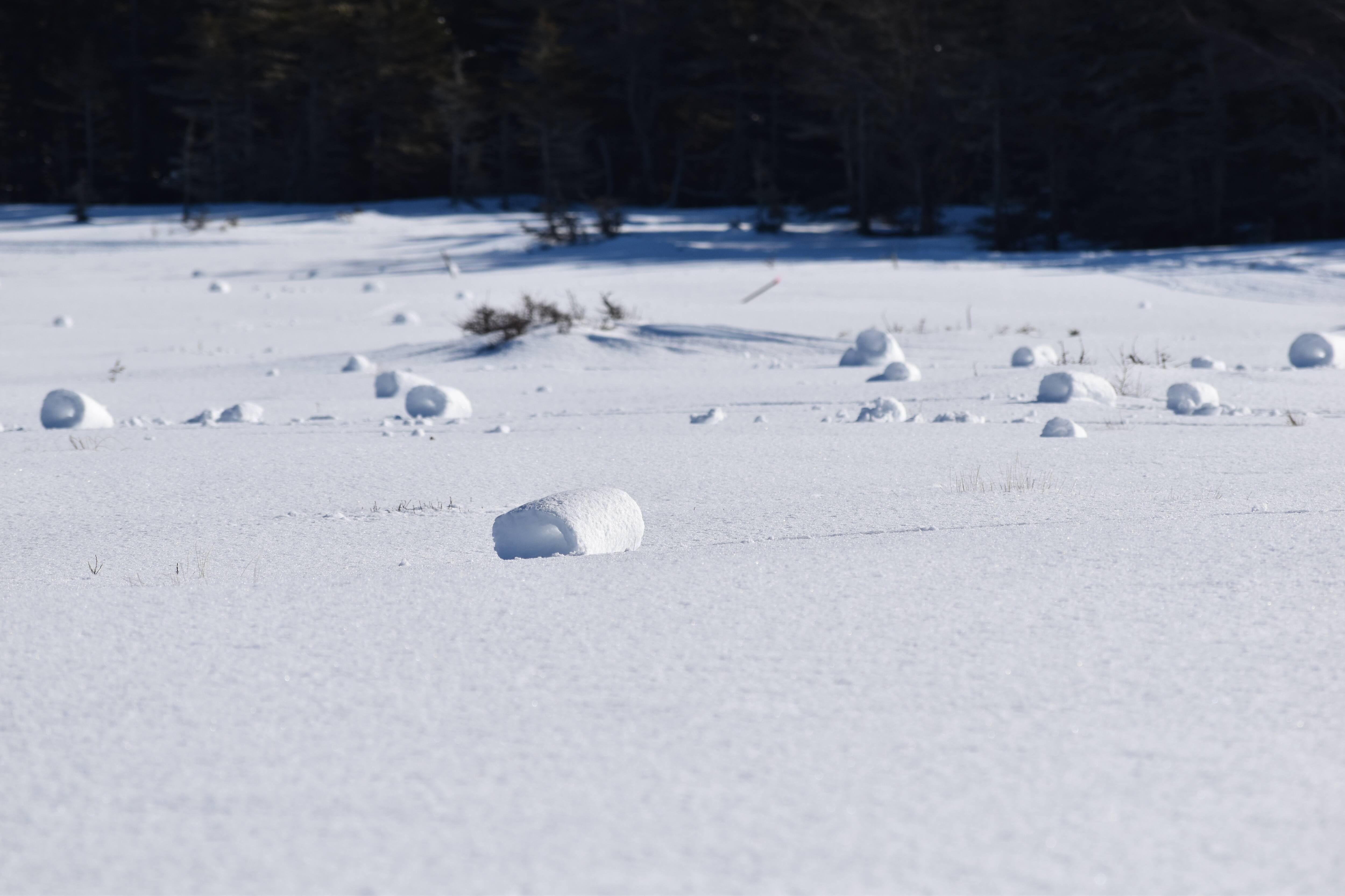 De magnifiques rouleaux de neige d&eacute;couverts &agrave; Anticosti