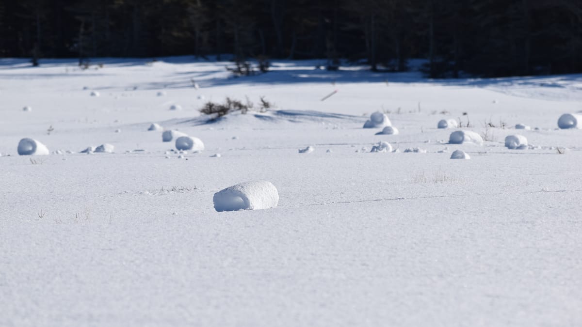 De magnifiques rouleaux de neige découverts à Anticosti