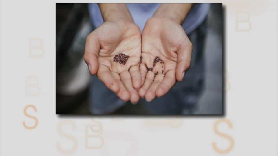 Le marché mondial de la moutarde souffre