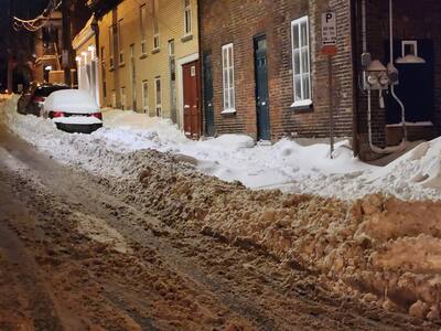 Día de San Valentín, Carnaval y Retención de Nieve: