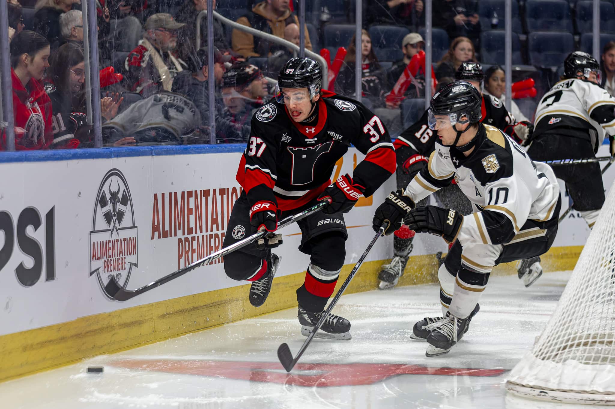 Les Islanders créent l'égalité dans la série