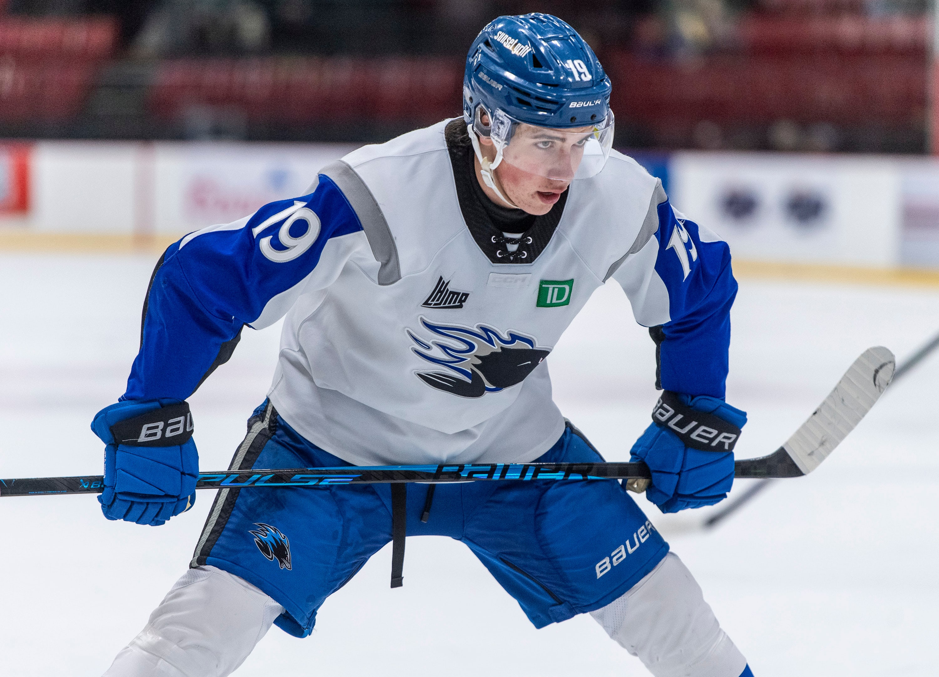 Hockey au Québec: la relève est-elle assez forte pour que le Québec espère revenir dans l’élite?