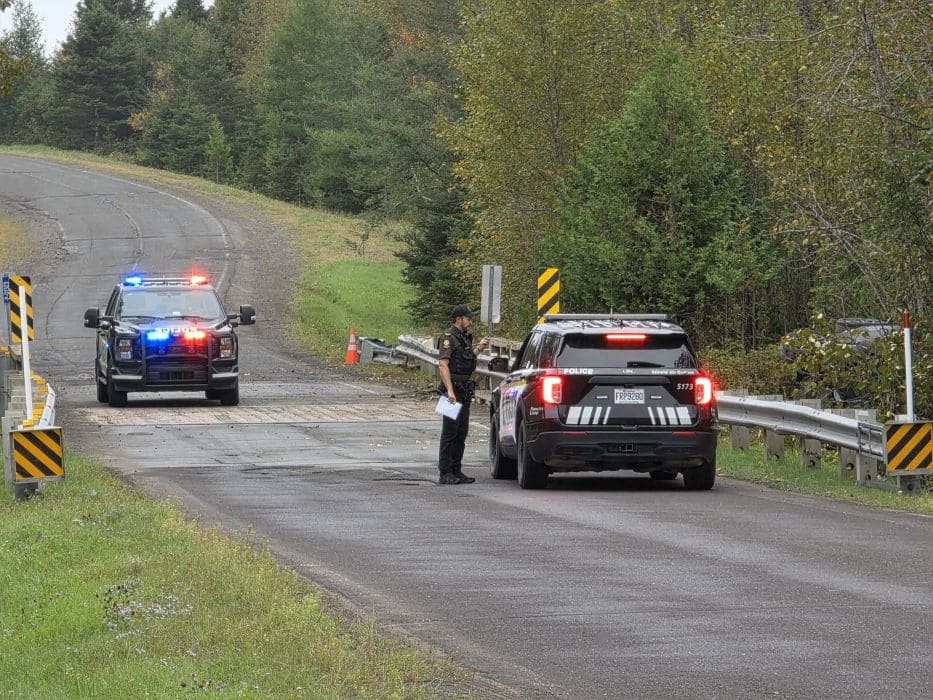 Collision mortelle avec un arbre: un quinquagénaire meurt en Gaspésie