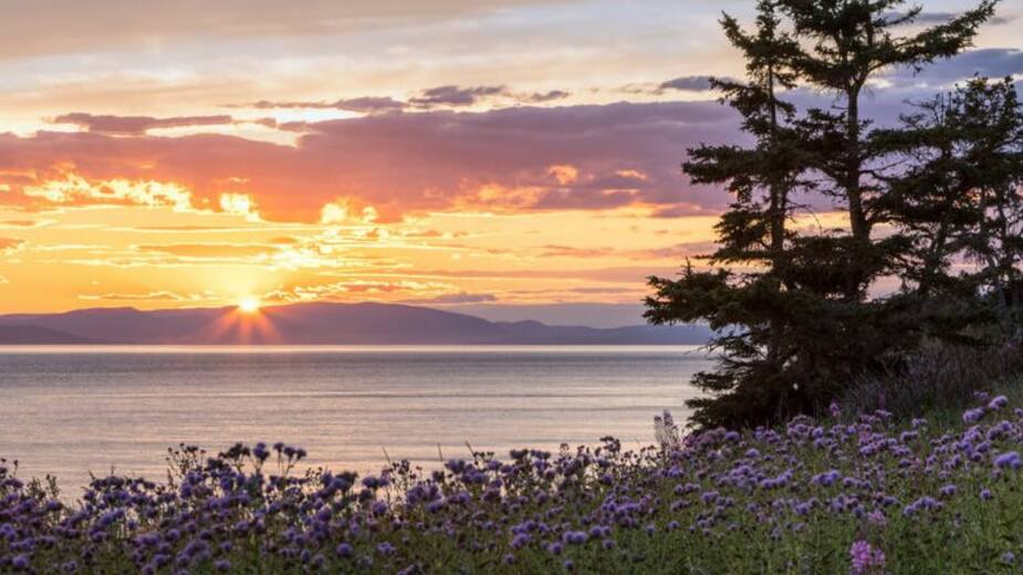 Image principale de l'article Top 20 des plus beaux lieux du Québec