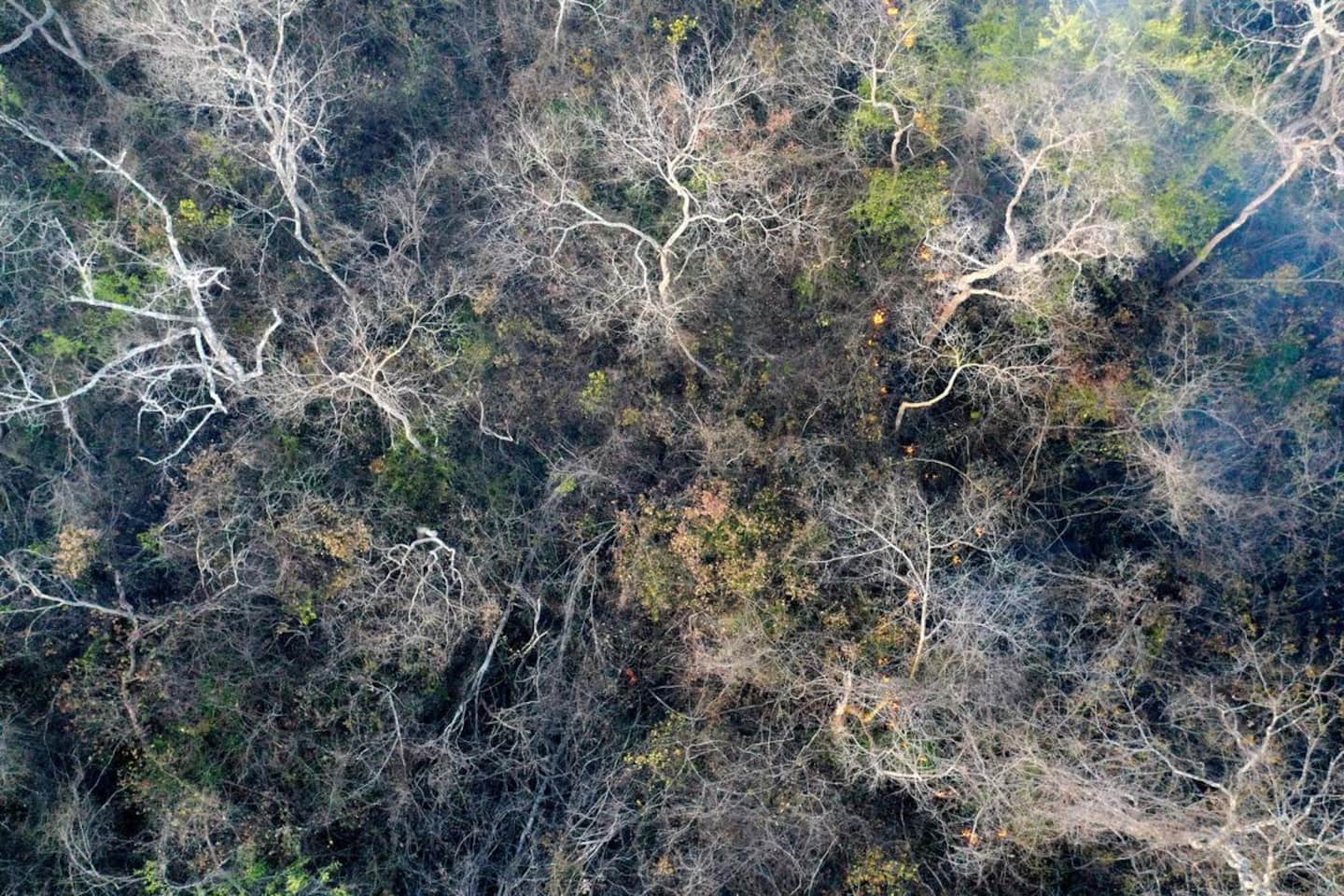 Feux de forêt: les dernières restrictions au Manitoba ont été levées