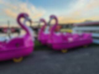 Des pédalos «flamant rose» gratuits à Québec