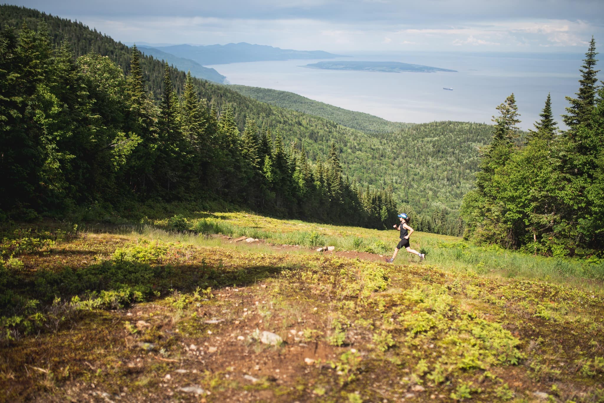5 sentiers pédestres sous les arbres