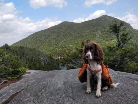 Etienne Kelinas and his dog dad