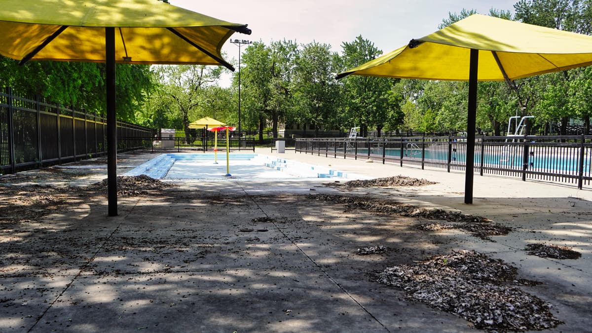 Journée la plus chaude de l'année jusqu'ici: des entreprises débordées et des familles frustrées par des piscines fermées