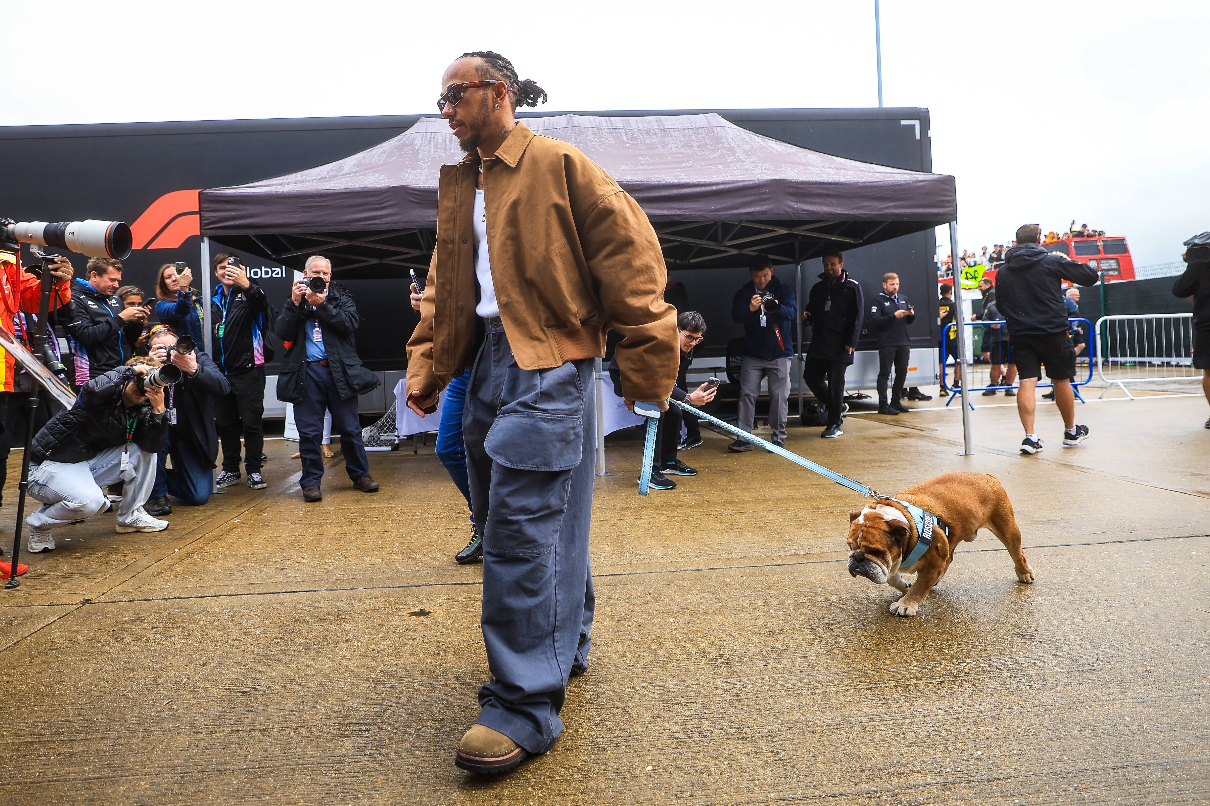 F1 : Lewis Hamilton en deuil de son chien Roscoe | JDM