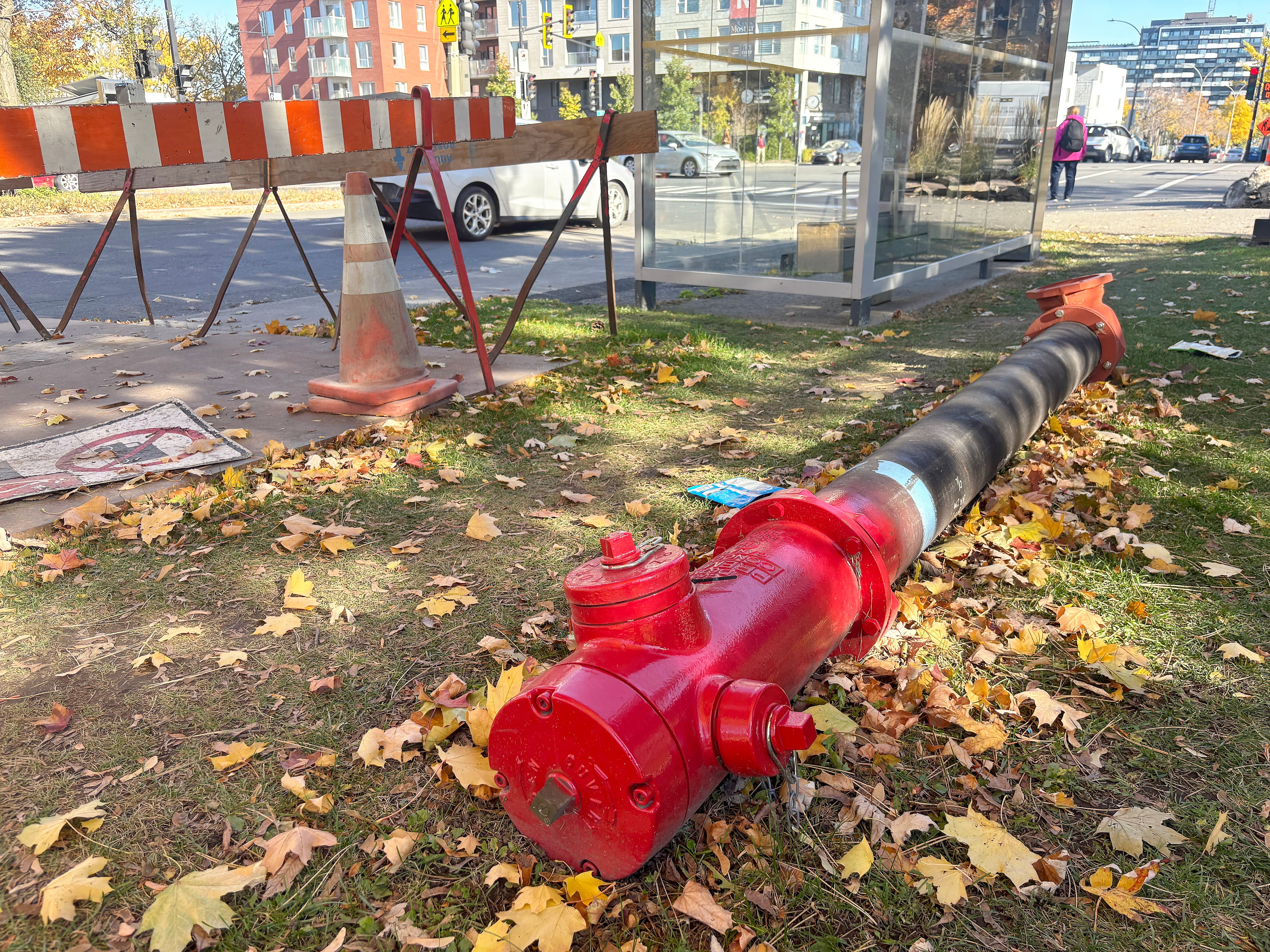 Lorsque les travaux ont été suspendus, les travailleurs ont laissé derrière eux la borne-fontaine neuve sur le gazon près du chantier.