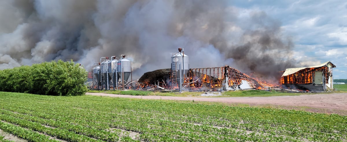 Incendie majeur à Saint-Hyacinthe: plus de 1000 porcs seraient morts