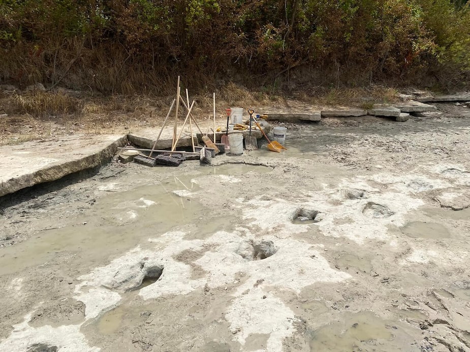 Image principale de l'article Des traces de dinosaures dans une rivière au Texas