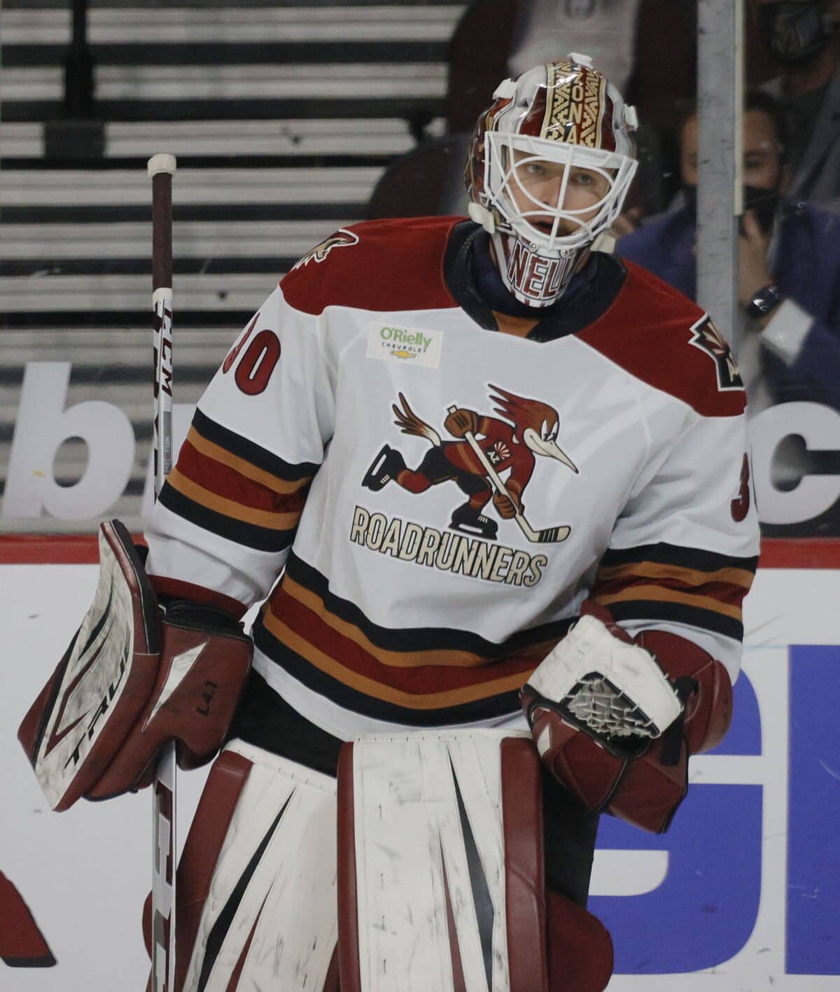 Steve Potvin veut instaurer une culture dans l'organisation des Coyotes ...