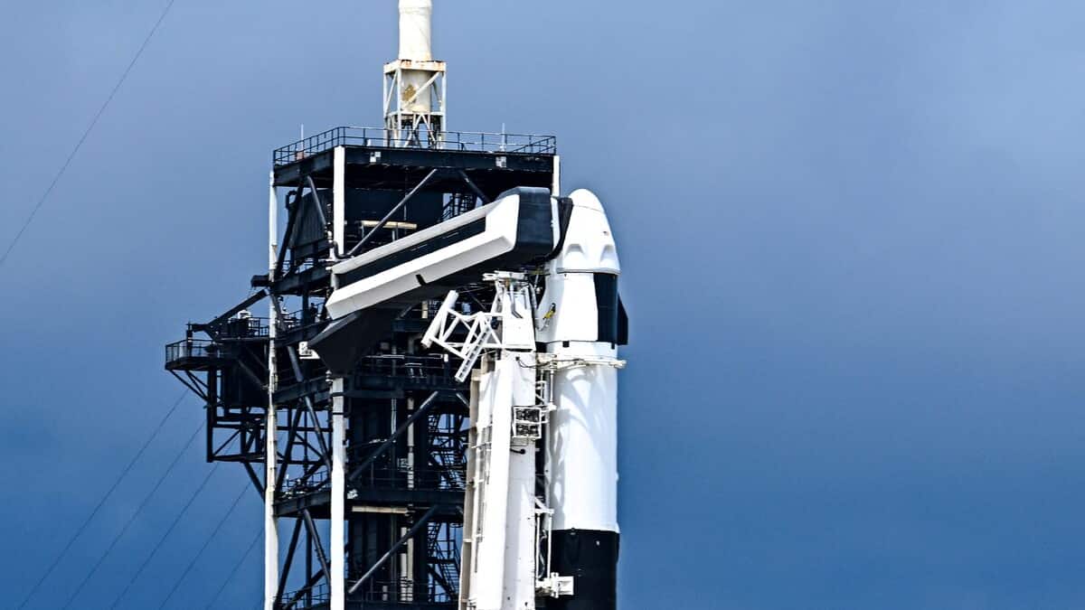 Prima passeggiata spaziale privata: SpaceX rinvia la sua missione a causa di una perdita di elio Prima passeggiata spaziale privata: SpaceX rinvia la sua missione a causa di una perdita di elio