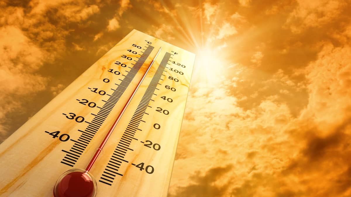 Canicule et Pollution : Un Cocktail Dangereux pour Votre Santé au Québec