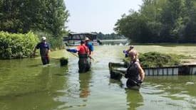 Des lacs envahis par les algues bleues JDM