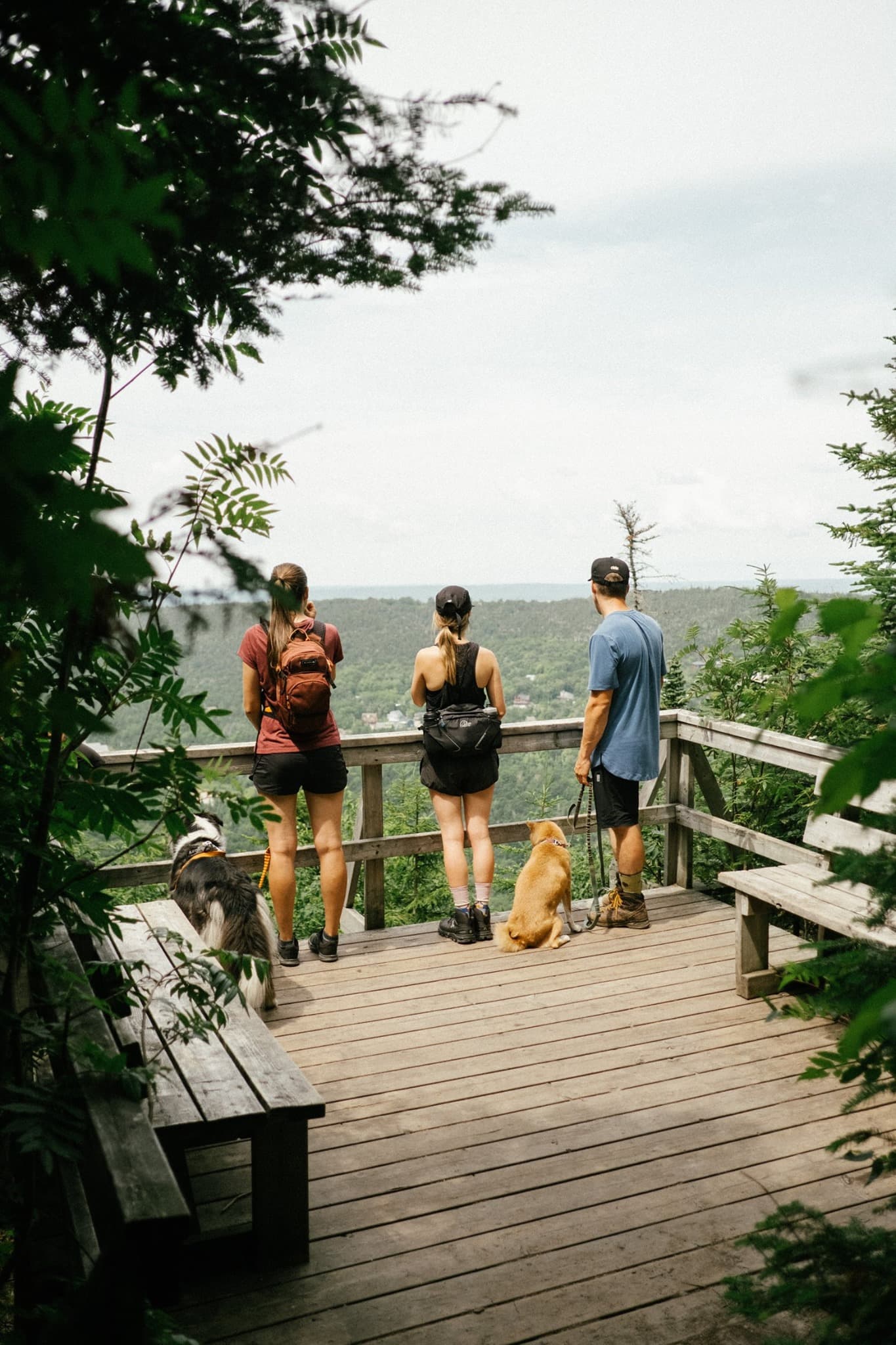 Où faire de la randonnée en Chaudière-Appalaches