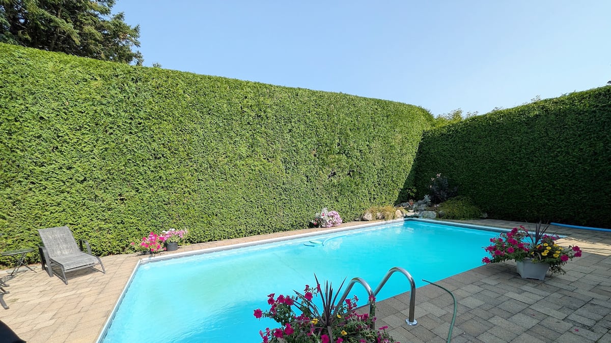 Règlement Sur La Sécurité Des Piscines Résidentielles: Une Majestue...