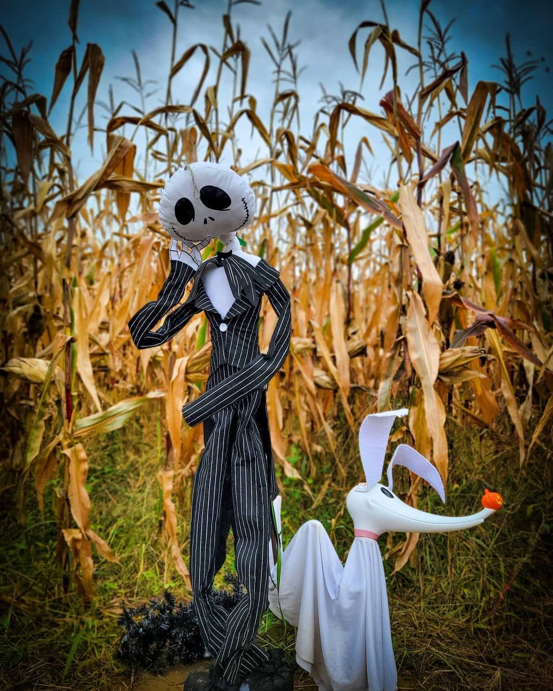 Labyrinthes g&eacute;ants: 4 champs de ma&iuml;s o&ugrave; aller &laquo;se perdre&raquo; cet automne