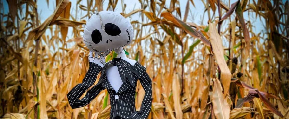 Labyrinthes géants: 4 champs de maïs où aller «se perdre» cet automne