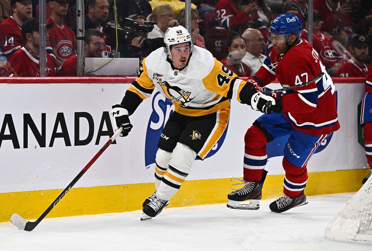 ラファエル・ハーベイ＝ピナードがNHLに復帰